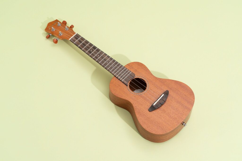 Ukulele